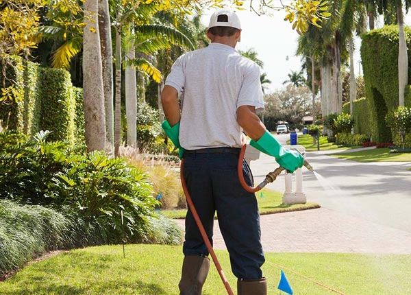 About Minden TX Pest Control Pros